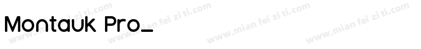 Montauk Pro字体转换